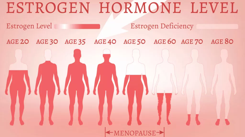 Estrogen Decline 1024x576.jpg