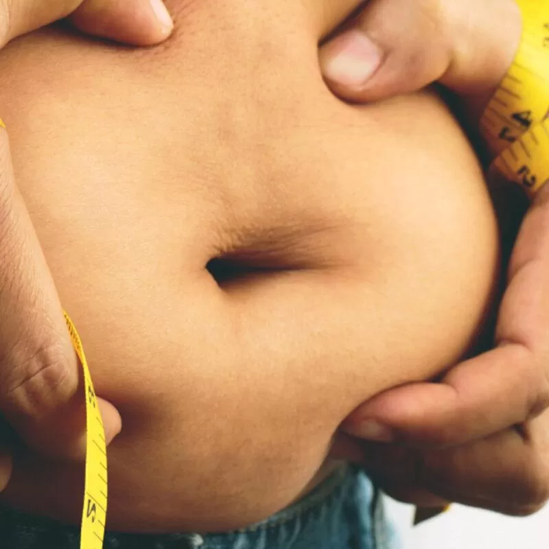 Fat And Calories Scaled 800x800.jpg