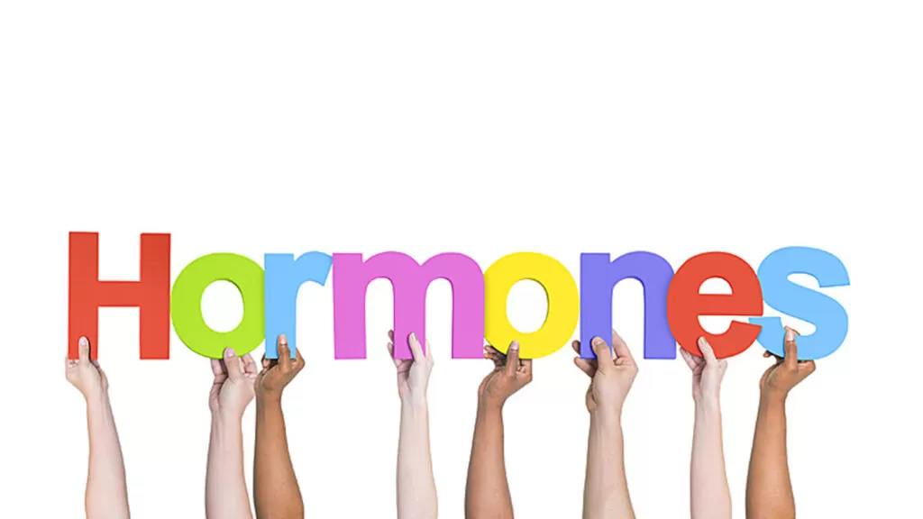 Hormones 1 1024x576.jpg