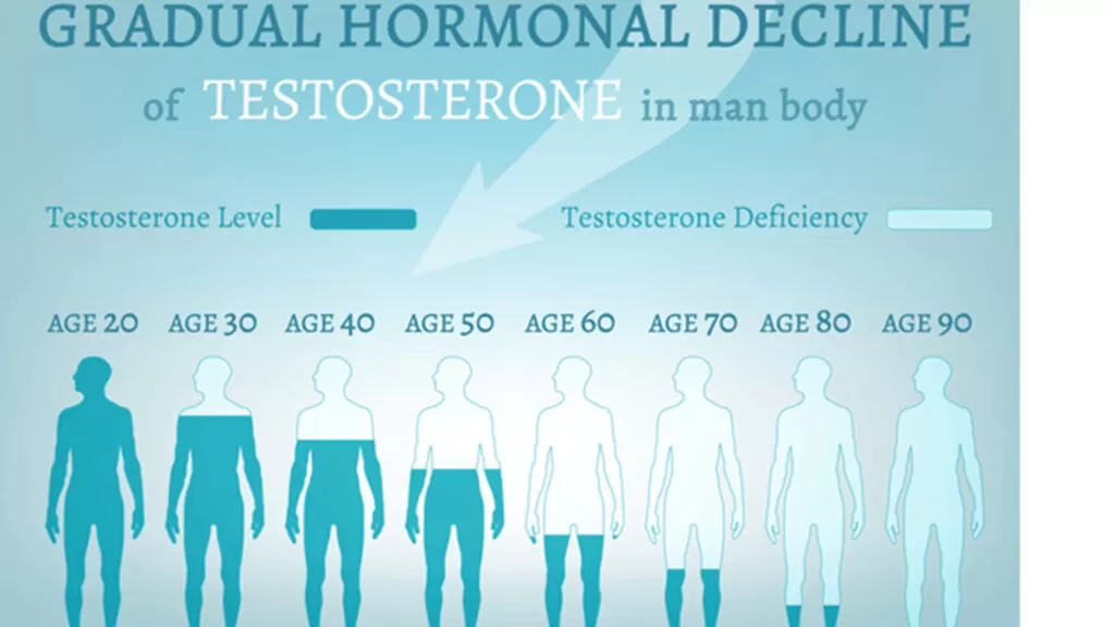 Testosterone Decline 1024x576.jpg